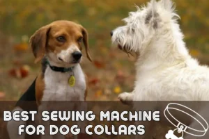 5 BEST SEWING MACHINES FOR DOG COLLARS 2024